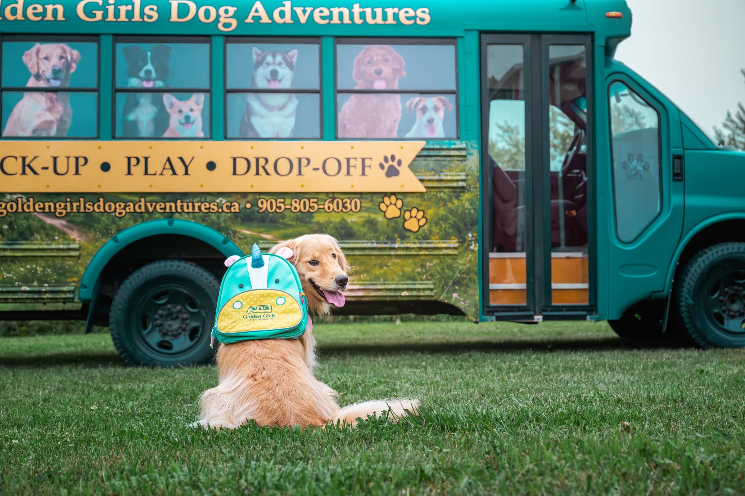 The Golden Girls adventure bus