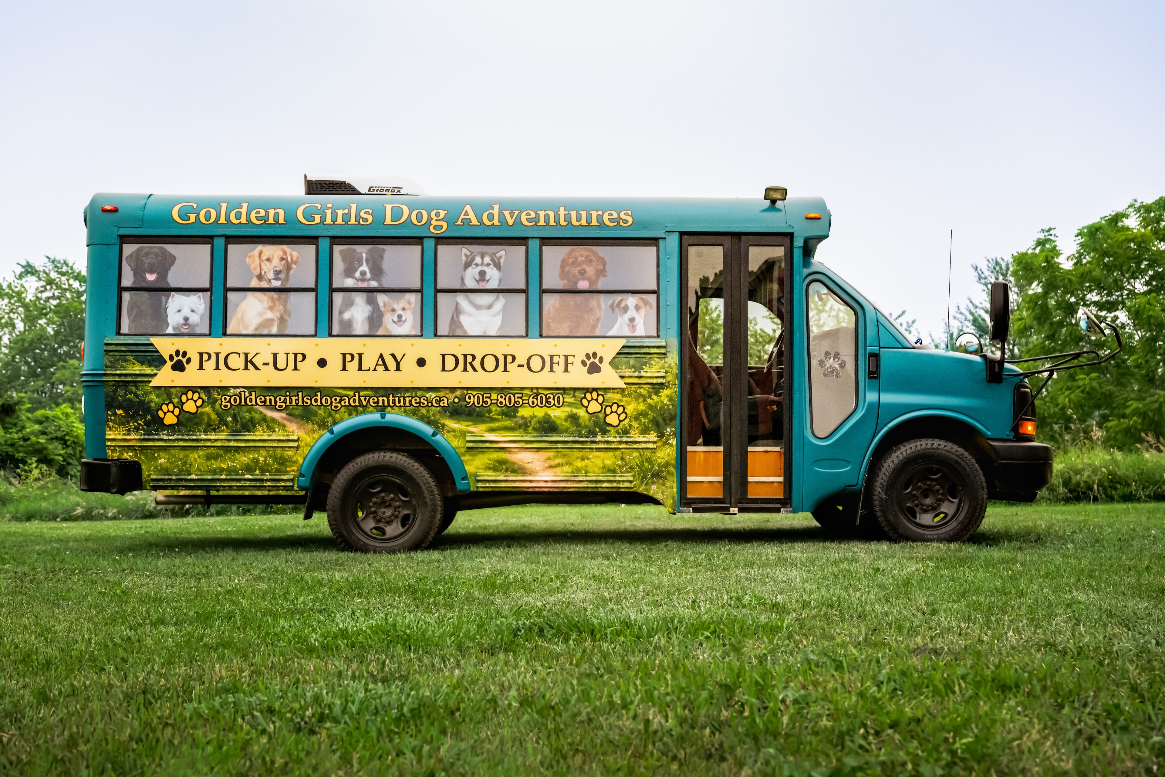 Golden Girls Dog Adventures Bus
