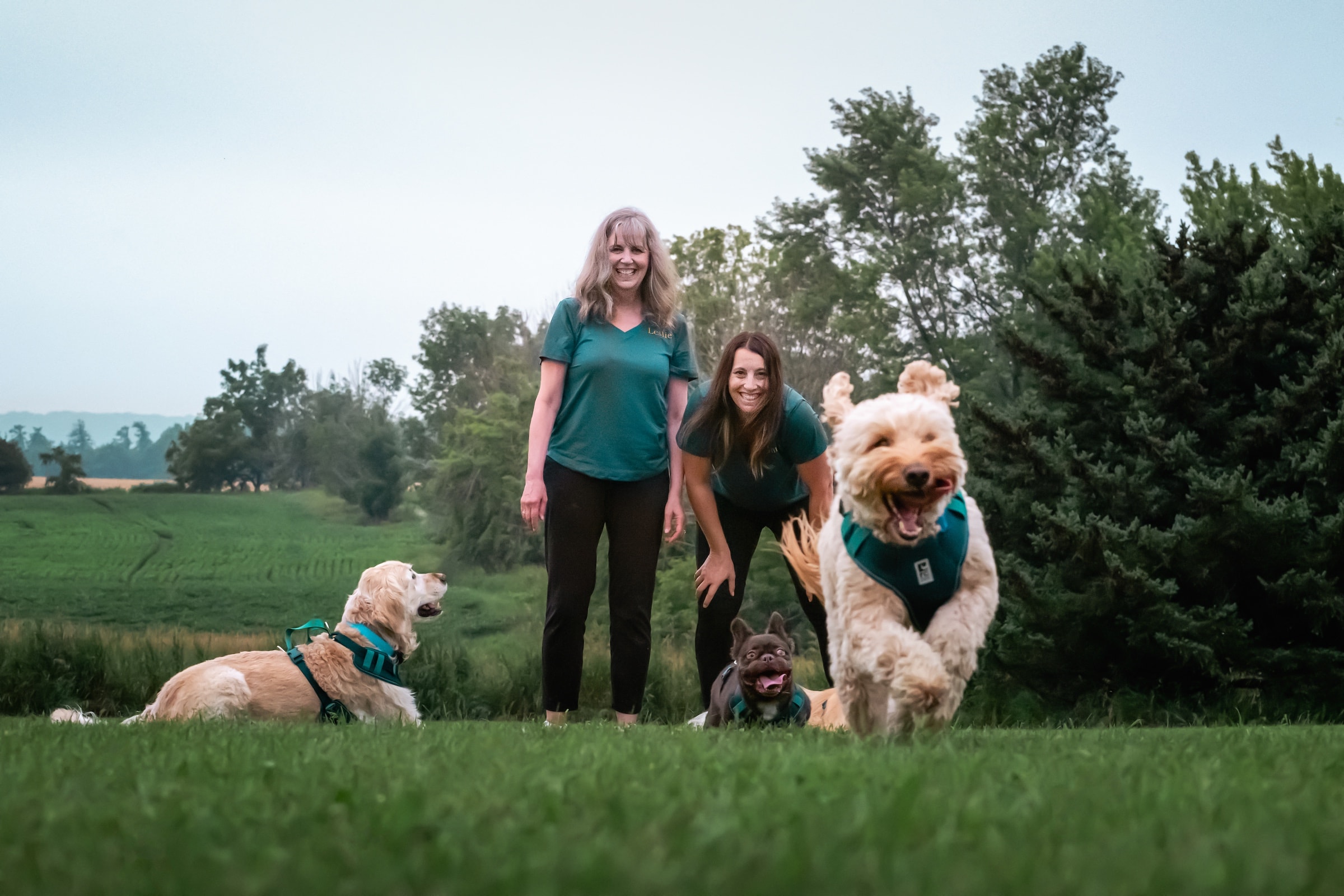 Three dogs with the Golden Girls