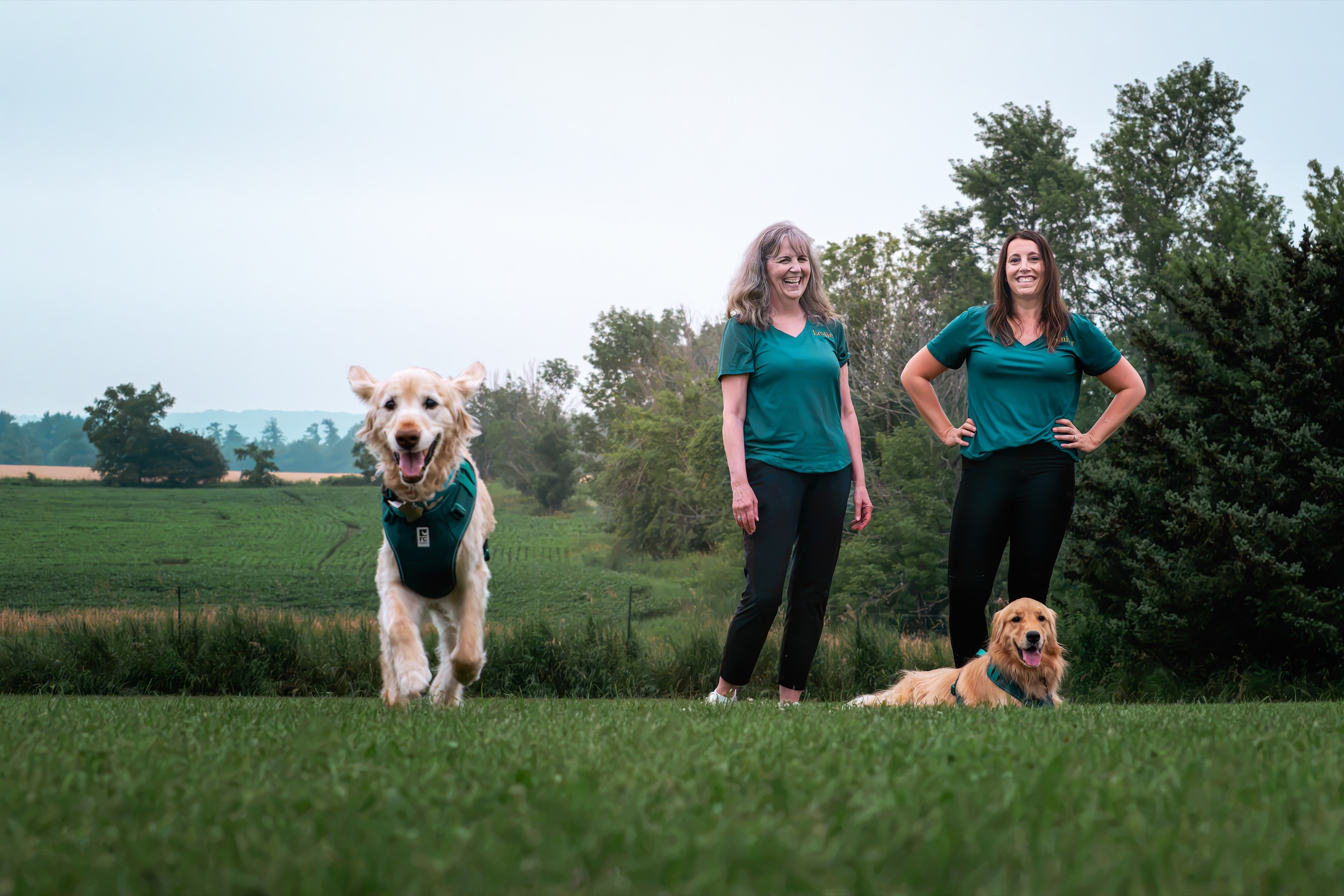 Two dogs with their humans