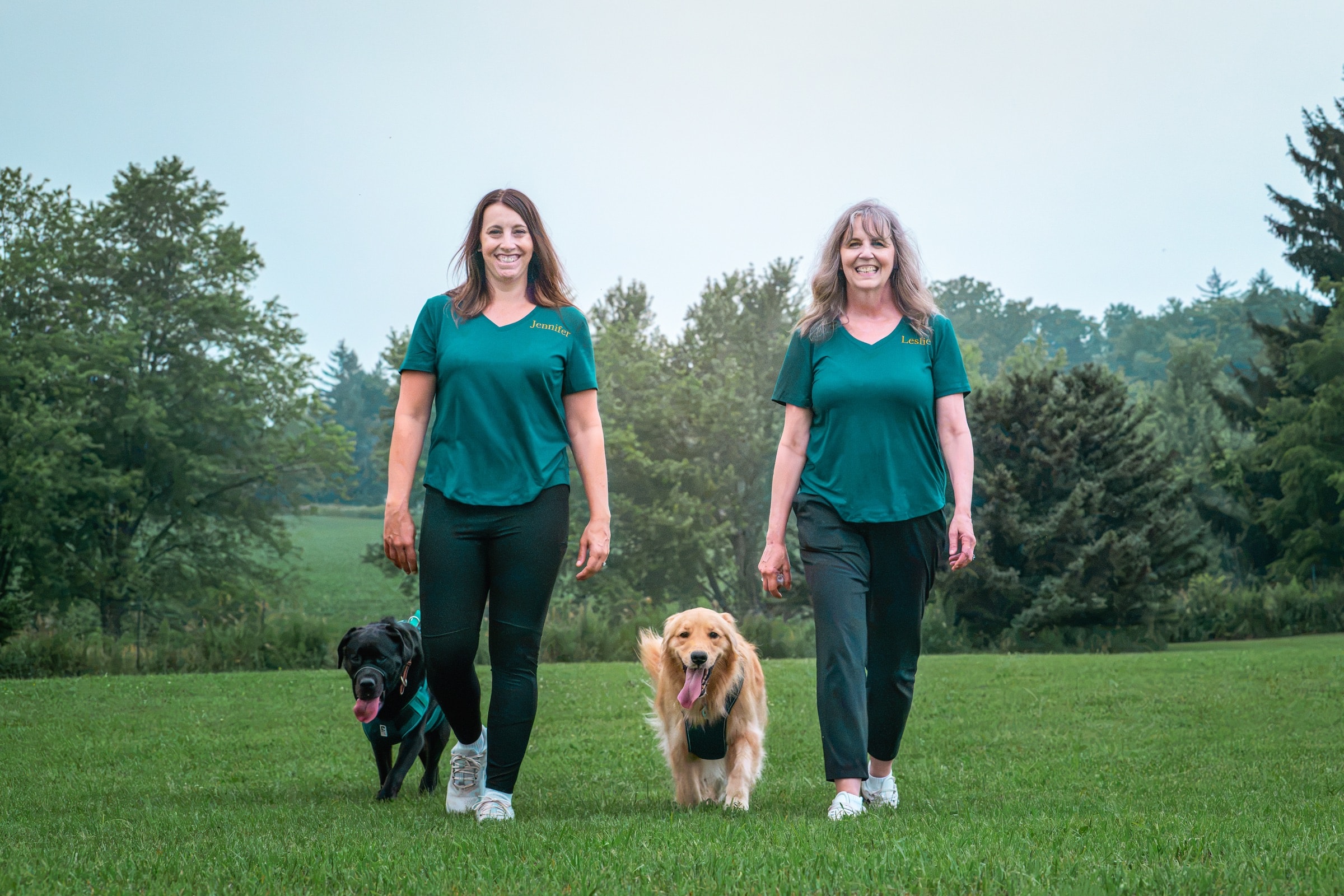 Two Golden Girls walking with their dogs